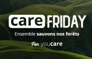 Care Friday : au service des arbres